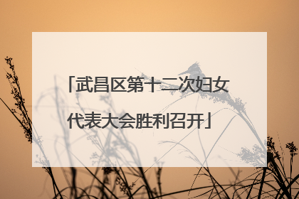 武昌区第十二次妇女代表大会胜利召开
