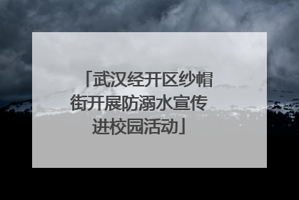 武汉经开区纱帽街开展防溺水宣传进校园活动