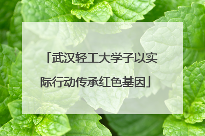 武汉轻工大学子以实际行动传承红色基因