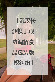 武汉长沙携手成功调解食品包装版权纠纷