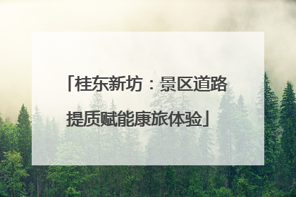 桂东新坊：景区道路提质赋能康旅体验