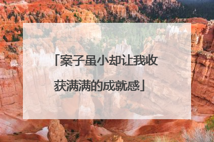 案子虽小却让我收获满满的成就感