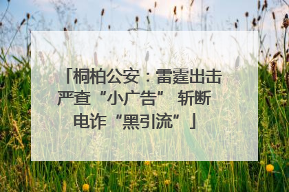 桐柏公安：雷霆出击严查“小广告” 斩断电诈“黑引流”