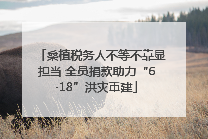 桑植税务人不等不靠显担当 全员捐款助力“6·18”洪灾重建