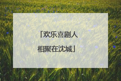 欢乐喜剧人 相聚在沈城