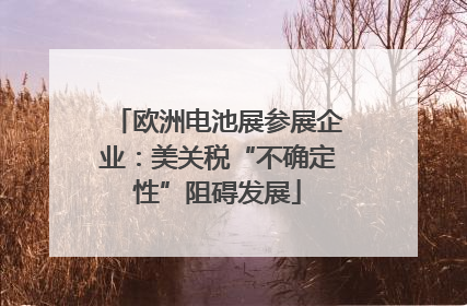 欧洲电池展参展企业：美关税“不确定性”阻碍发展