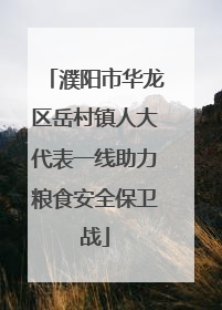 濮阳市华龙区岳村镇人大代表一线助力粮食安全保卫战