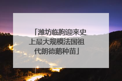 潍坊临朐迎来史上最大规模法国祖代朗德鹅种苗