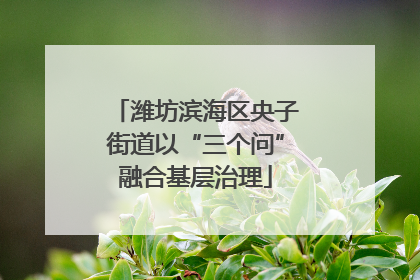 潍坊滨海区央子街道以“三个问”融合基层治理