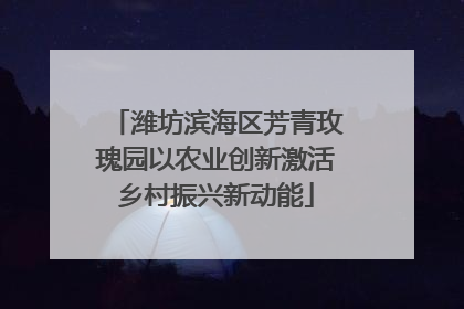 潍坊滨海区芳青玫瑰园以农业创新激活乡村振兴新动能