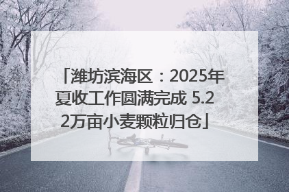 潍坊滨海区：2025年夏收工作圆满完成 5.22万亩小麦颗粒归仓