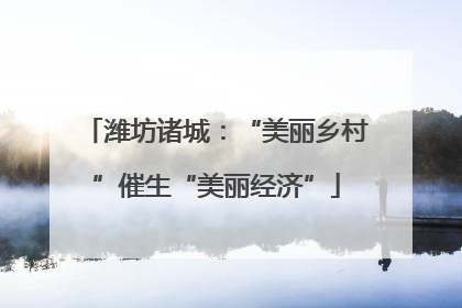 潍坊诸城：“美丽乡村”催生“美丽经济”
