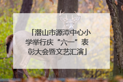 潜山市源潭中心小学举行庆“六一”表彰大会暨文艺汇演