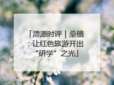 澧源时评｜桑植：让红色旅游开出“研学”之光