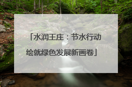 水润王庄：节水行动绘就绿色发展新画卷