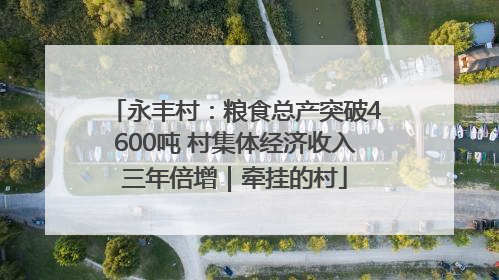 永丰村：粮食总产突破4600吨 村集体经济收入三年倍增｜牵挂的村
