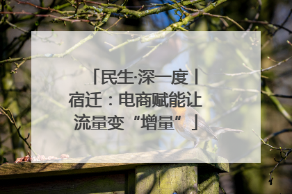 民生·深一度丨宿迁：电商赋能让流量变“增量”
