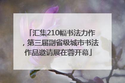 汇集210幅书法力作，第三届副省级城市书法作品邀请展在蓉开幕