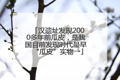 汉遗址发现2000多年前瓜皮，是我国目前发现时代最早“瓜皮”实物→