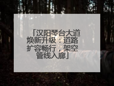 汉阳琴台大道焕新升级：道路扩容畅行，架空管线入廊