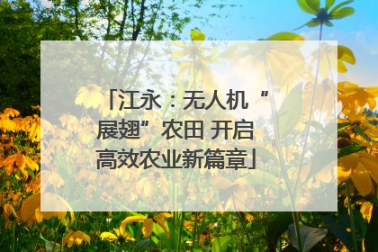 江永：无人机“展翅”农田 开启高效农业新篇章