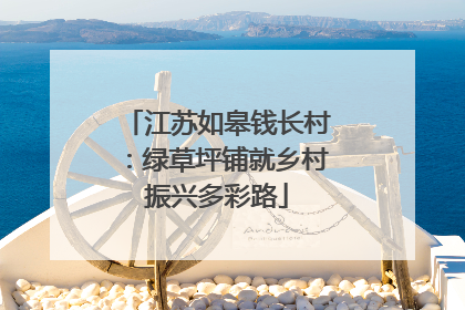 江苏如皋钱长村：绿草坪铺就乡村振兴多彩路