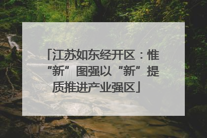 江苏如东经开区：惟“新”图强以“新”提质推进产业强区