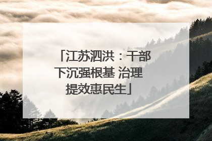江苏泗洪：干部下沉强根基 治理提效惠民生
