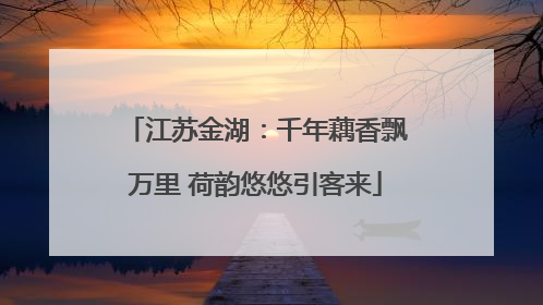 江苏金湖：千年藕香飘万里 荷韵悠悠引客来
