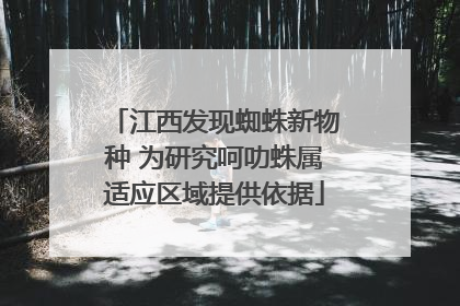 江西发现蜘蛛新物种 为研究呵叻蛛属适应区域提供依据