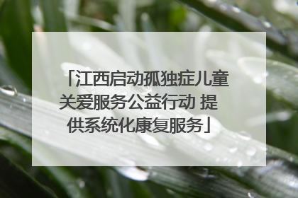 江西启动孤独症儿童关爱服务公益行动 提供系统化康复服务