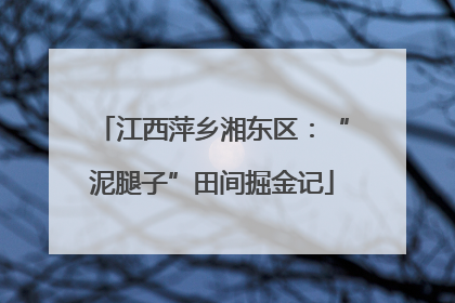 江西萍乡湘东区：“泥腿子”田间掘金记