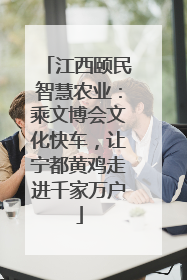 江西颐民智慧农业：乘文博会文化快车，让宁都黄鸡走进千家万户