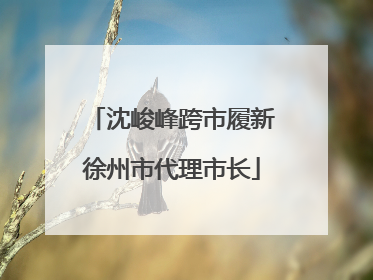 沈峻峰跨市履新徐州市代理市长