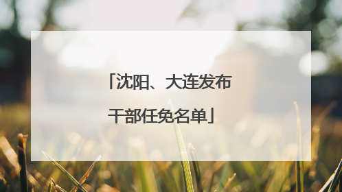沈阳、大连发布干部任免名单