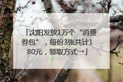 沈阳发放1万个“消费券包”，每份3张共计180元，领取方式→
