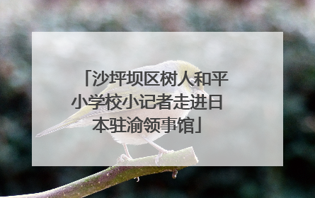 沙坪坝区树人和平小学校小记者走进日本驻渝领事馆