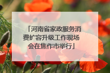 河南省家政服务消费扩容升级工作现场会在焦作市举行