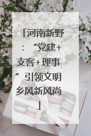河南新野：“党建+支客+理事”引领文明乡风新风尚