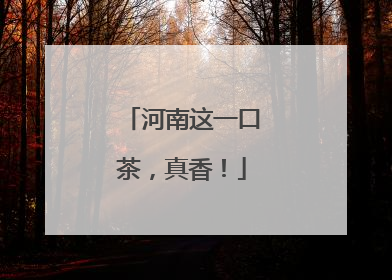 河南这一口茶，真香！