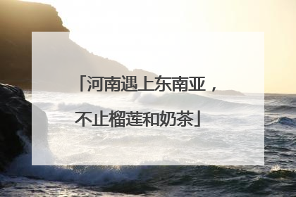 河南遇上东南亚，不止榴莲和奶茶
