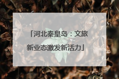 河北秦皇岛：文旅新业态激发新活力