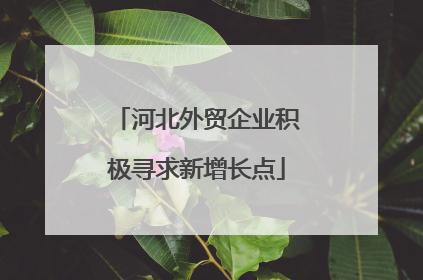 河北外贸企业积极寻求新增长点