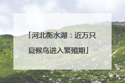 河北衡水湖：近万只夏候鸟进入繁殖期