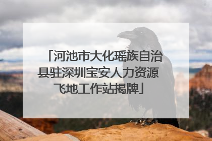 河池市大化瑶族自治县驻深圳宝安人力资源飞地工作站揭牌