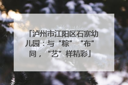 泸州市江阳区石寨幼儿园：与“粽”“布”同，“艺”样精彩