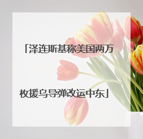 泽连斯基称美国两万枚援乌导弹改运中东