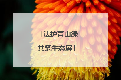 法护青山绿 共筑生态屏