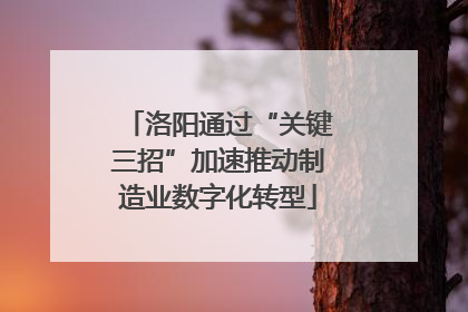 洛阳通过“关键三招”加速推动制造业数字化转型