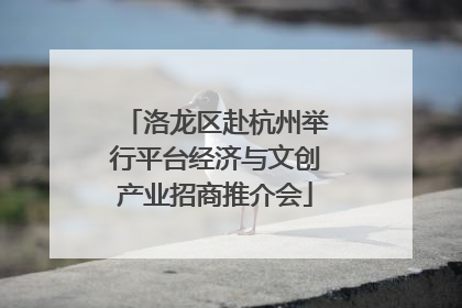 洛龙区赴杭州举行平台经济与文创产业招商推介会